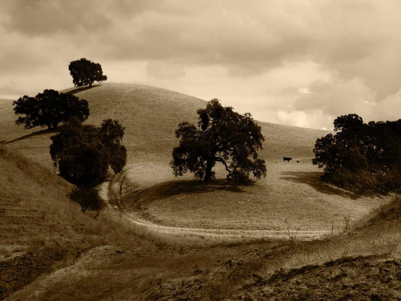 sudoku perfect score screenshot 2