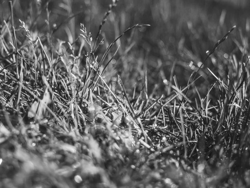 sudoku skill level screenshot 3